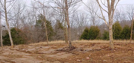 Photo of an empty lot after mobile home demolition